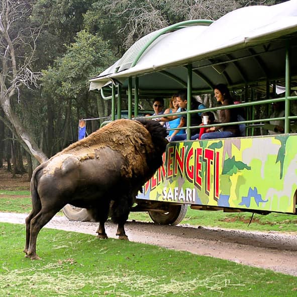 Bioparque Estrella México